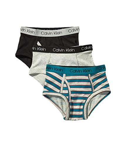 Calvin Klein Kids Boys' Modern Cotton Brief Underwear 3-Pack, Sea Green Stripe/Heather Grey/Black, X-Large