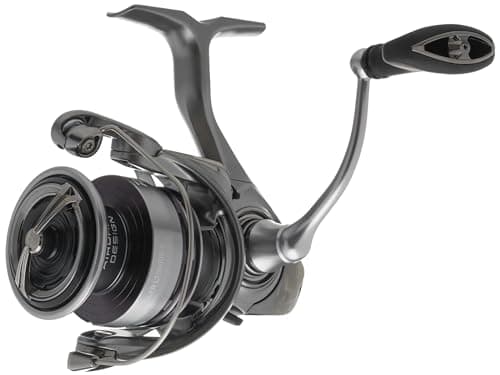 Daiwa EXCELER 4000 LT Spin Reel, 5BB + 1, 5.2 : 1