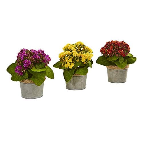 Nearly Natural Kalanchoe Artificial Arrangements (Set of 3)