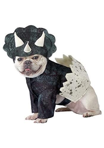 Calico, Dino Pup Dog Costume Small