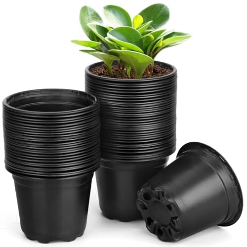 DUNPUTE 60 Pack 6 Inch Nursery Pots for Plants, Plastic Seeds Starter Pots with Drainage Holes, Small Plastic Plant Nursery Pots for Succulents Seedling Cutting Transplanting (60, 6 Inch)