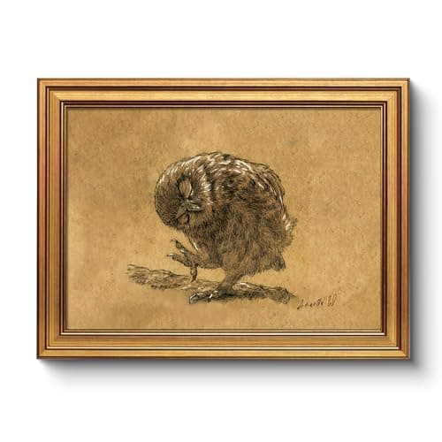 Vintage Owl Drawing Gold Framed Wall Art 12x16, Neutral Brown Sepia Animal Sketch Canvas Print, Classic Bird Illustration Nature Artwork Rustic Home Farmhouse Bedroom Study Office Wall Décor
