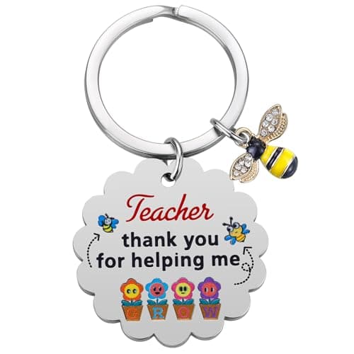 iWenSheng Teacher Appreciation Gifts for Women - Teachers Christmas Valentines Day Gift, Thank You Keychain Keyring (Silver)