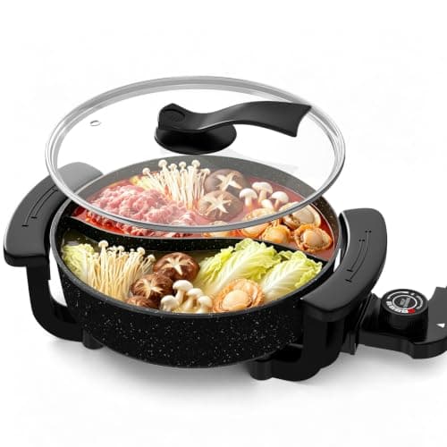 6L Dual Sided Electric Hot Pot for $44 + free shipping