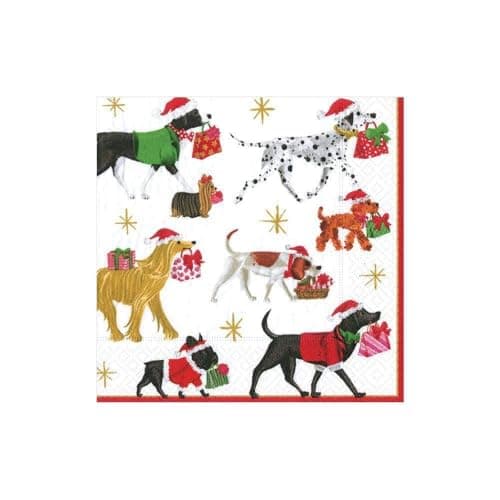 Entertaining with Caspari Chri...livery Cocktail Napkins, White