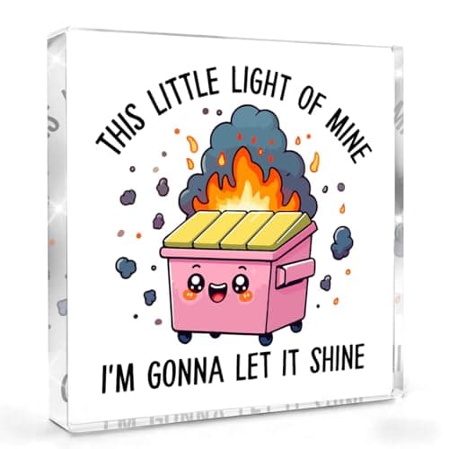 Pink Funny Office Decor Dumpster Fire Desk Accessories This Little Light Of Mine Dumpster Fire Sign Inspirational Gifts for Women Men Boss Friend Coworker Acrylic Plaque for Home Office Tabletop