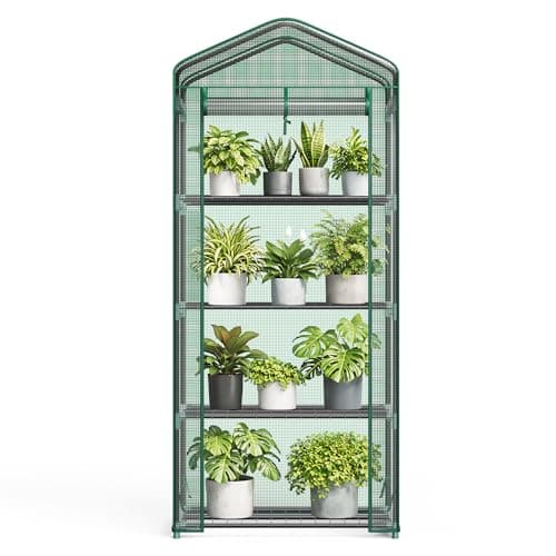 NEWBULIG Mini Greenhouse with ..., Backyard Green Houses, Green