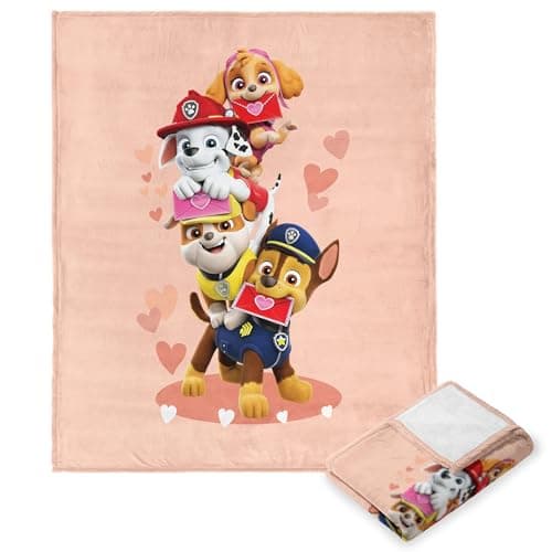 Northwest Paw Patrol Silk Touc...t, 50" x 60", Friends for Life
