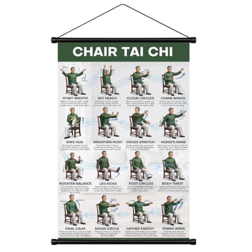 Tai Chi Chair Workout Chart for Seniors Over 60, Tai Chi with Hanging Kit