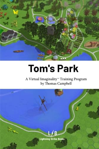 Tom's Park: A Virtual Imaginality Training Program