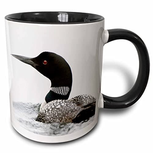 3dRose Bird, Common loon, Gavi...angelo 11oz Two-Tone Black Mug