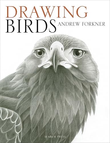 Drawing Birds