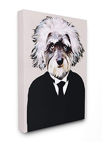 Stupell Industries Einstein Do...rt, 16 x 1.5 x 20, Multi-Color