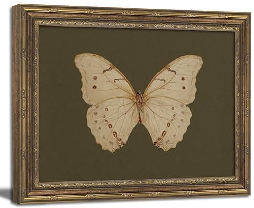 Vintage Gold Framed Wall Art Classical White Butterfly Wall Art Small Moody Insect Green Wall Decor Picture Antique Cottagecore Moth Gallery Aesthetic Poster Print for Living Room Bedroom 9x11in