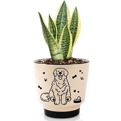 STHIE Ceramic Planters with Drainage Holes, 5 Inch Pots for Indoor Plants