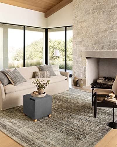 Loloi Amber Lewis Morgan Colle...vingroom, Bedroom, Dining Area