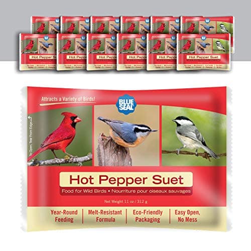 Blue Seal Hot Pepper Suet Cake...der | 11oz Seed Cake (12 Pack)