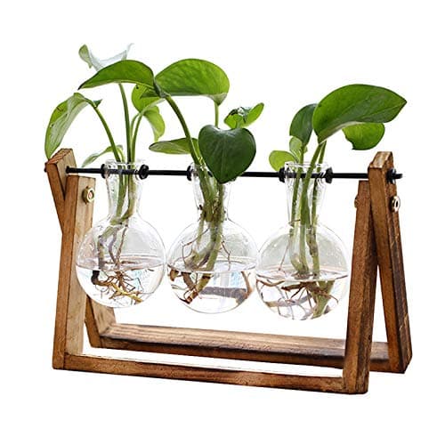 XXXFLOWER Plant Terrarium with Wooden Stand $11.01