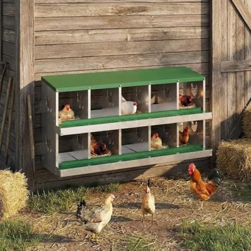 10 Holes Chicken Nesting Boxes... Chicken Coop Farm Yard, Green