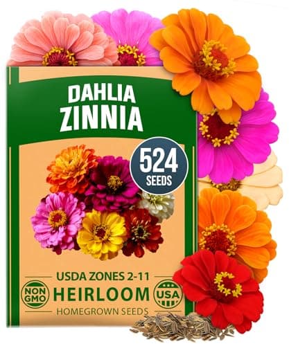 HOME GROWN Zinnia Dahlia Seeds Pack for 2026 Non GMO 524 Flower Seeds | Vibrant Zinnia Elegans for Pollinator Gardens, Borders & Containers | Easy-to-Grow Outdoor Blooms