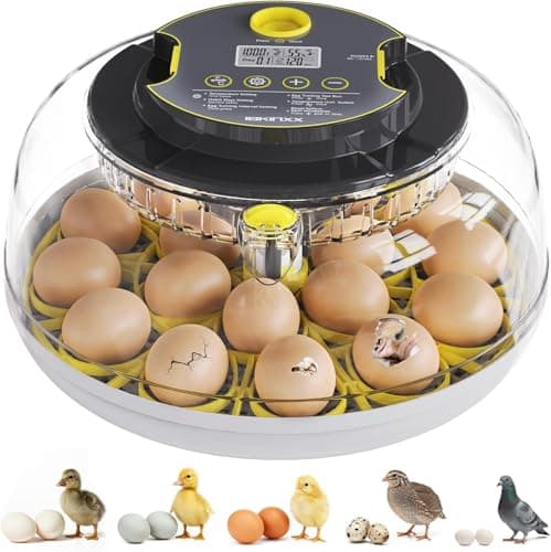 18-Egg Ibkinxx Automatic Egg Incubator w/ Auto Turning, Temperature/Humidity Control & Egg Candler $22 + Free Shipping