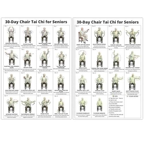 Tai Chi Chair Workout Chart Poster Print Seated Exercises for Beginners and Seniors Canvas Wall Art Living Room Bedroom Home Gym Decor Unframed