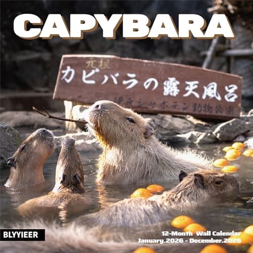 2026 Wall Calendar,Capybara Calendar 2026, Monthly Wall Calendar, 12" x 24" Open,Family Planner Calendar Organizer with funny capybara Images