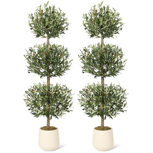 5 ft Artificial Olive Tree, Tr... Offices Porch Decor, Set of 2
