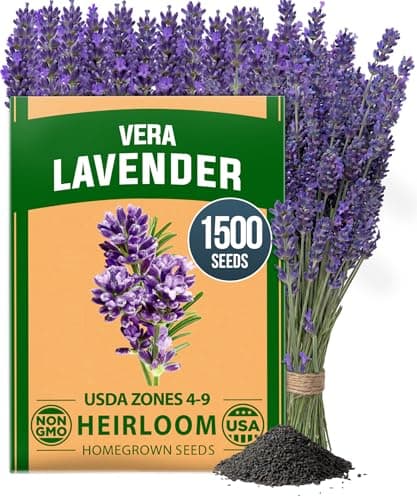 HOME GROWN 1500+ Non GMO English Lavender Seeds $5.31 + Free S&H w/ Prime or $35+