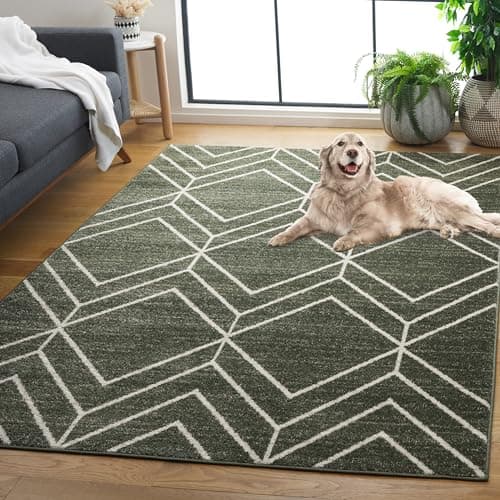 SAFAVIEH Area Rug 8x10 - Adiro...edroom, Dining Space (ADR241X)