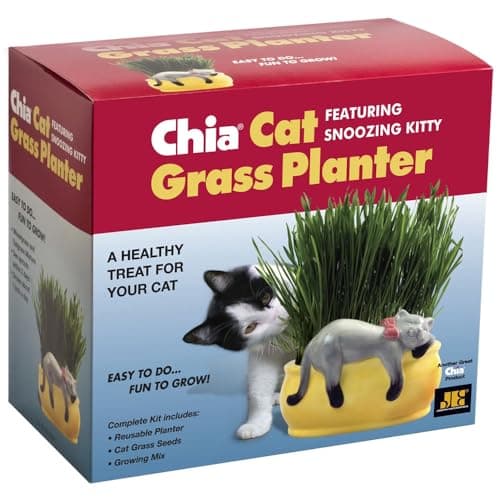 Chia Pet Kitty Cat Grass Decorative Pottery Planter $11