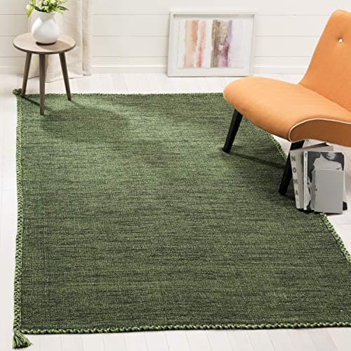 SAFAVIEH Montauk Collection Ac...Living Room, Bedroom (MTK150Y)