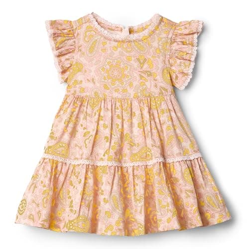 Amazon Essentials Baby Girls' Baby Girls' and Toddlers Woven Casual Dress, Shell Pink Ornate Paisley, 2T