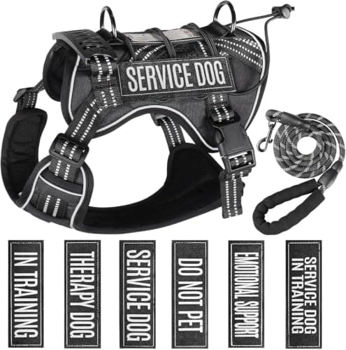 Service Dog Tactical Vest Harness and Leash Set Large Sized Dog Emotional Support- Tactical Dog Harness Training Collar with Name (Black, L)