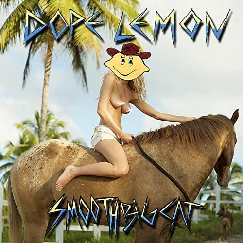Smooth Big Cat[LP]