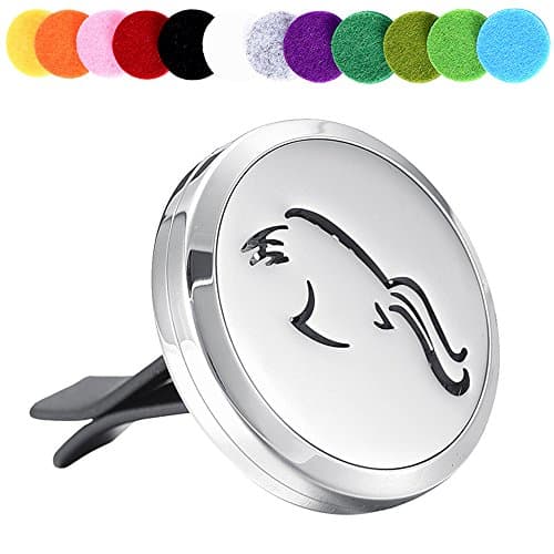 Women Accessories Essential Oil Diffuser Necklace Perfume Aromatherapy Car Diffuser Locket