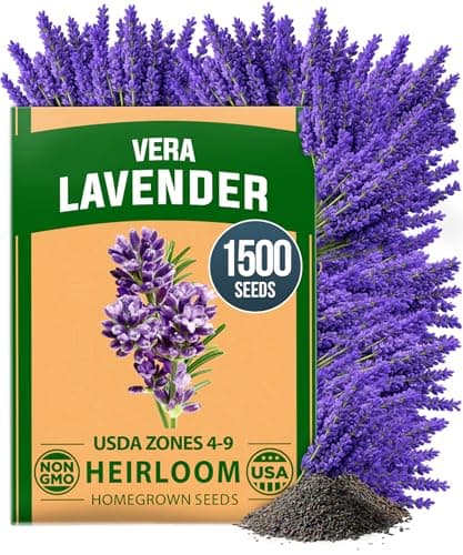 1,500+ English Lavender Seeds for $4 + free shipping w/ Prime