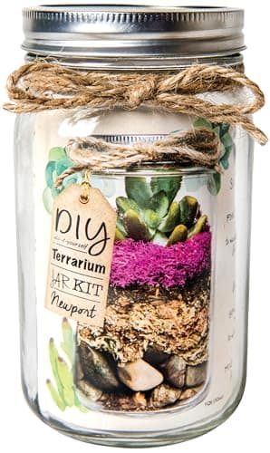 SuperMoss (90412) Terrarium Kit DIY Jar - Newport 32oz