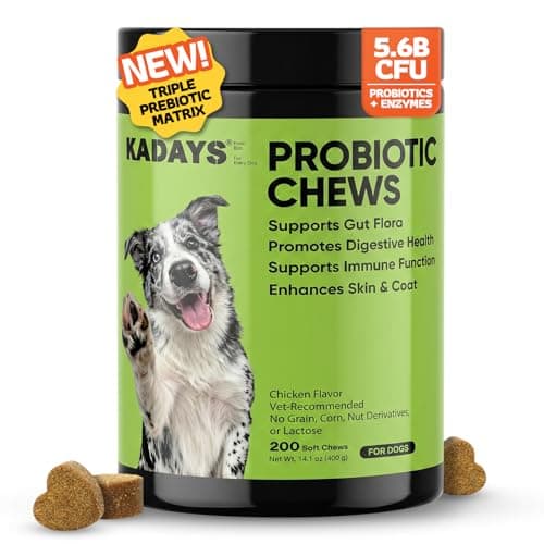 Probiotics for Dogs Probiotics for Digestive Health Dog Gut Health Probiotics Dog for Diarrhea Gut Immune Health Digestive Probiotic Chews for Dogs Itchy Skin Eases Bloating Chicken Flavor 200 Ct