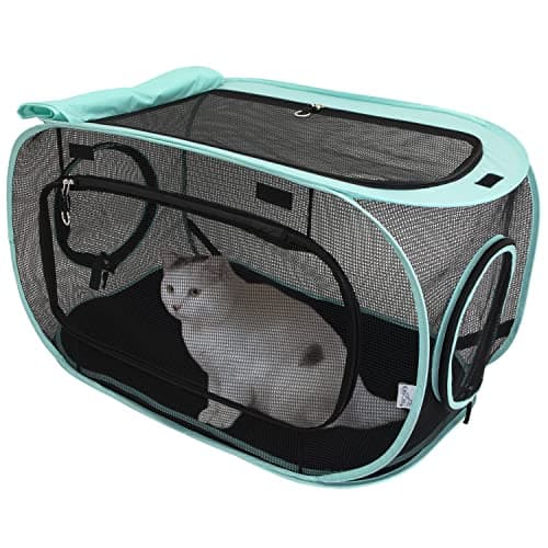 Kitty City Outdoor Catio Furni... Kits for Cats, Outdoor Kennel