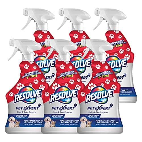 Resolve Pet Expert Stain and O...s and Odors, 22 oz (pack of 6)