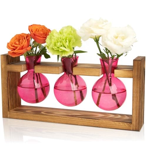 Plant Propagation Station Only $6.93 on Amazon (Reg. $15)