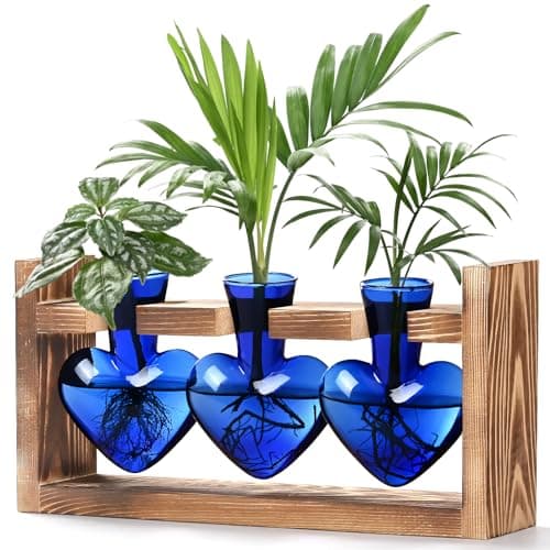 Lifecapido Heart Shaped Plant Terrarium with Wooden Stand for Mother's Day, 3 Vases, (3 Colors) - $9.99