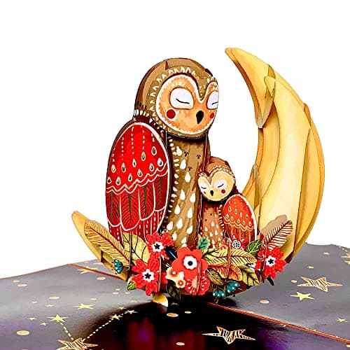 SOUL POP UP - Owl Mothers Day Card for Mom, 6x8 Inch Pop Up Mothers Day Card for Wife, Daugther, Sister, Grandma, Mother's Day Cards from, Son, Husband, Pop Up Birthday Cards for Women.