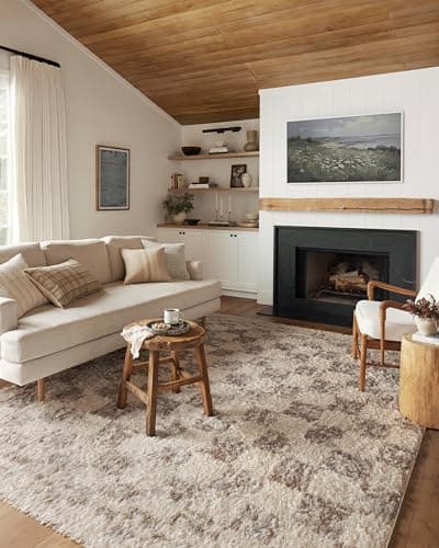 Loloi Angela Rose Amira Collec...gh Traffic Area Home Decor Rug