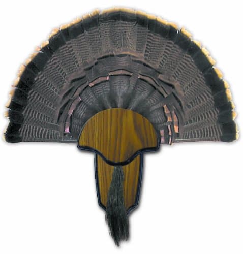HUNTERS SPECIALTIES Strut Turk...unt Kit With Hardware Included