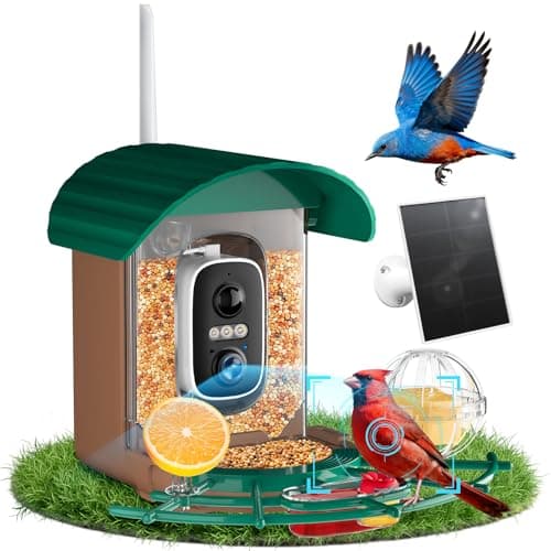 Niorsun Solar Powered Smart Bird Feeder with Camera $24.99