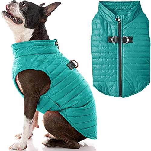 Gooby Boys Classic Puffer Dog ...urquoise, Large Chest 20.75 US