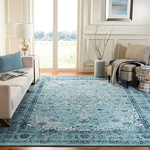 SAFAVIEH Area Rug 10x14 - Evok...edroom, Dining Space (EVK220E)