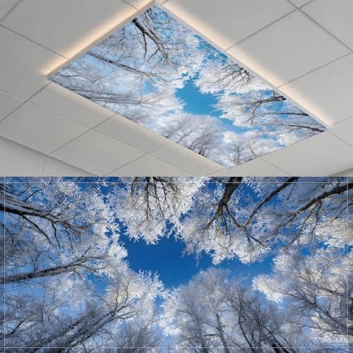 2 Pack Fluorescent Light Covers- 4 x 2 Feet Magnetic Ceiling Light Cover Room Supplies (Snow Forest)